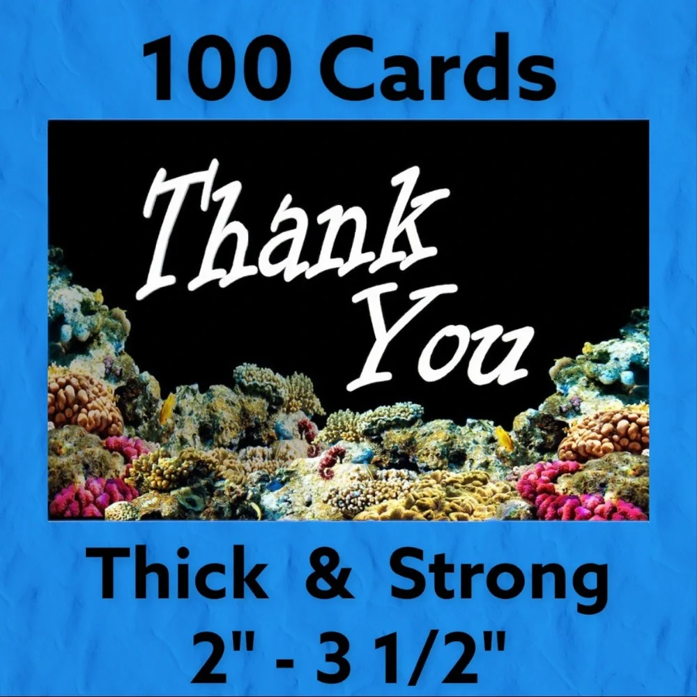 100 2
