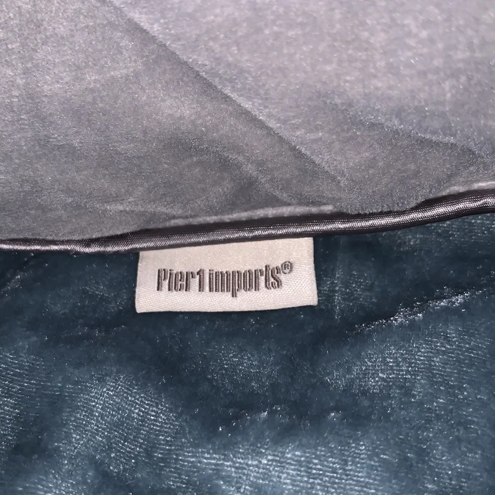 Pier 1 Imports Gray Velour Pillow