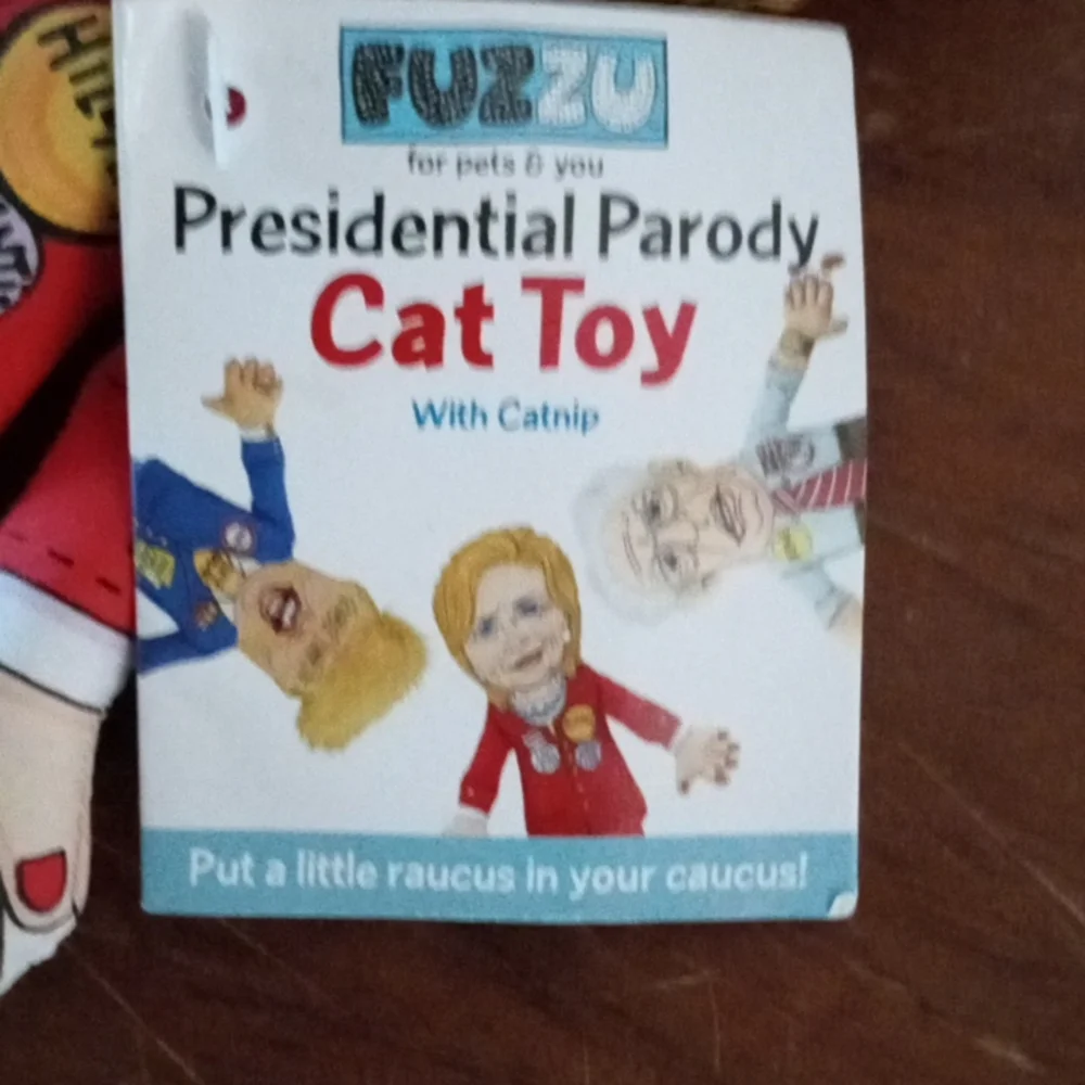 Fuzzu presidential candidate