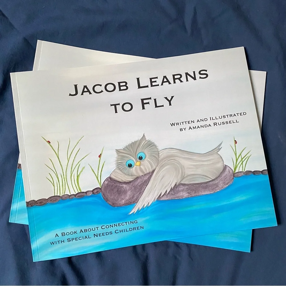 Jacob Learns to Fly PLUS Craft Project Written and Illustrated by Amanda Russell