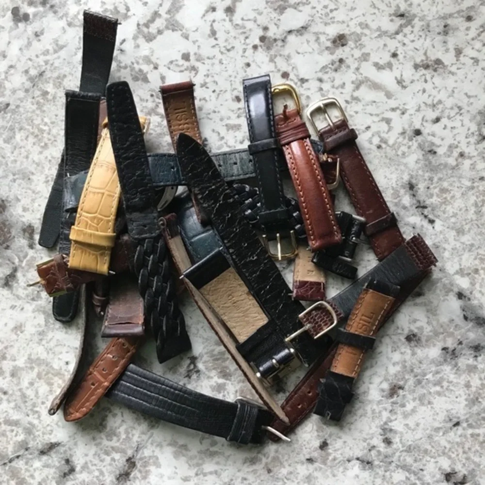 Fossil discover chronos