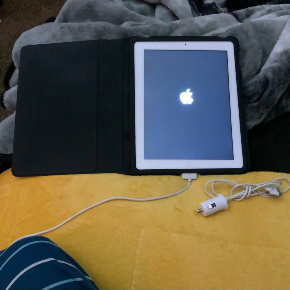 Apple older ipad