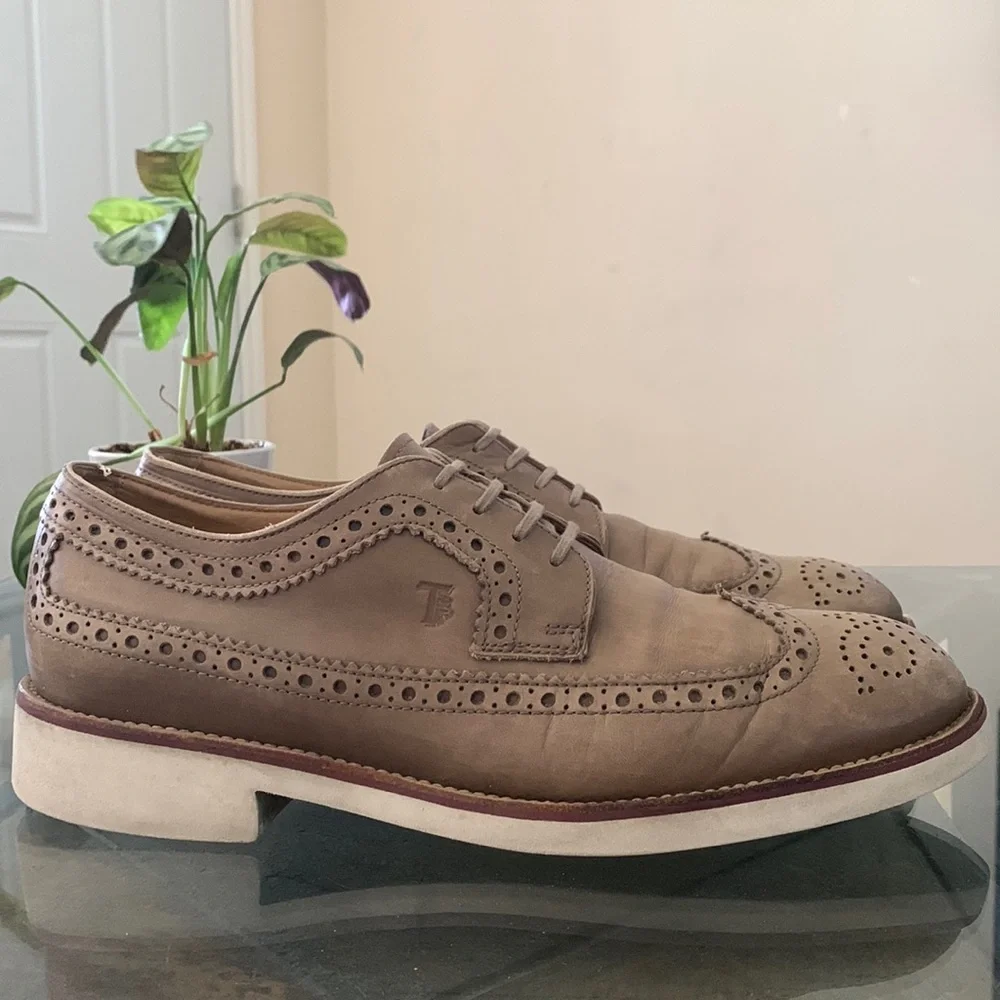 Tods longwing brown