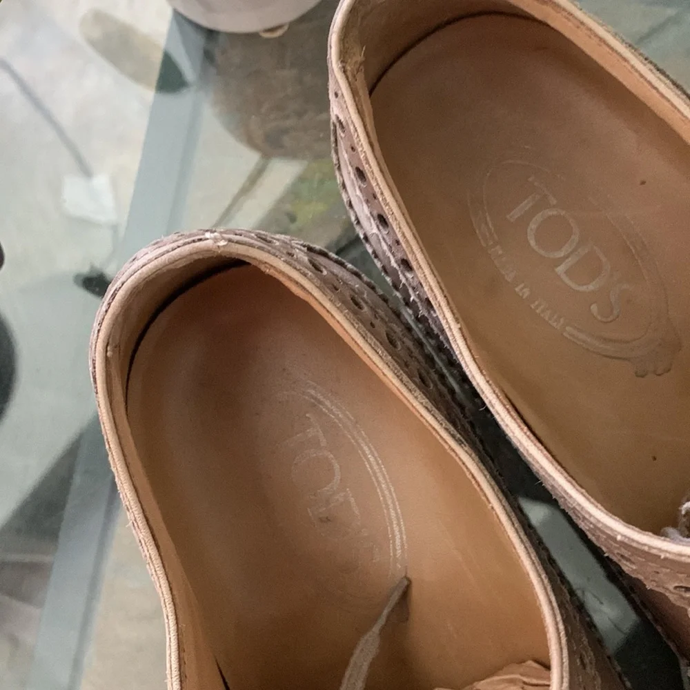 Tods longwing brown