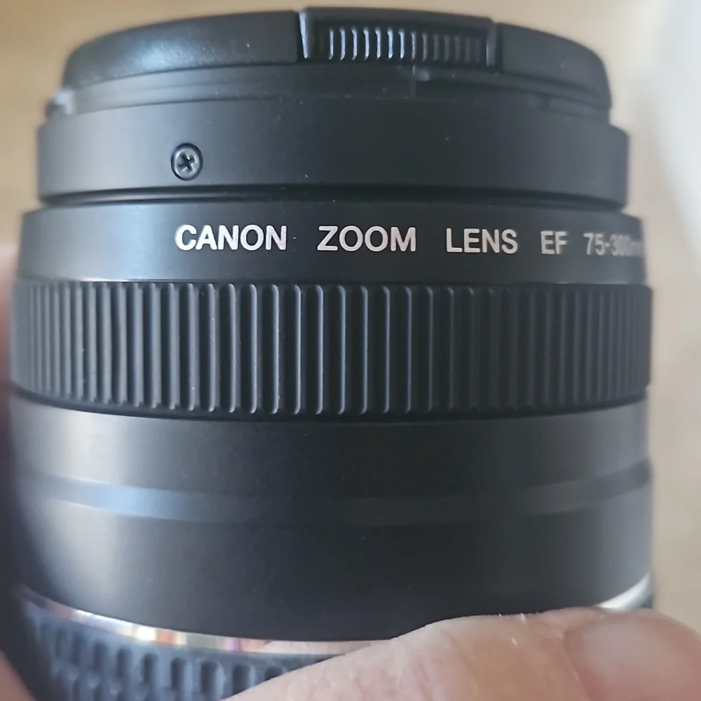 Canon this camera