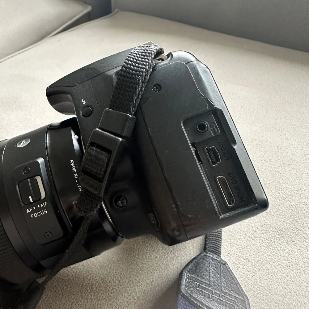 Canon selling all