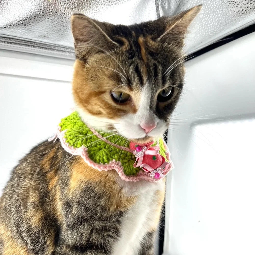 Handmade crocheted pet collar