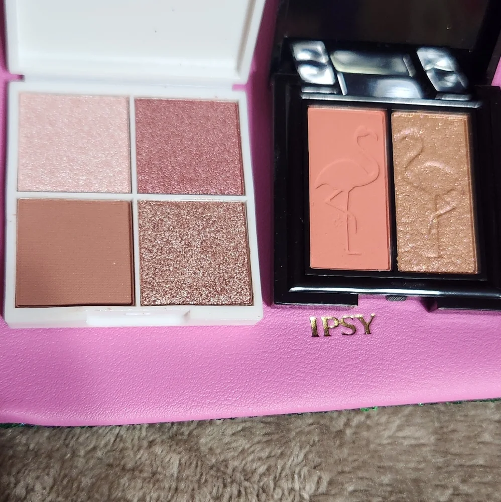 ipsy this listing
