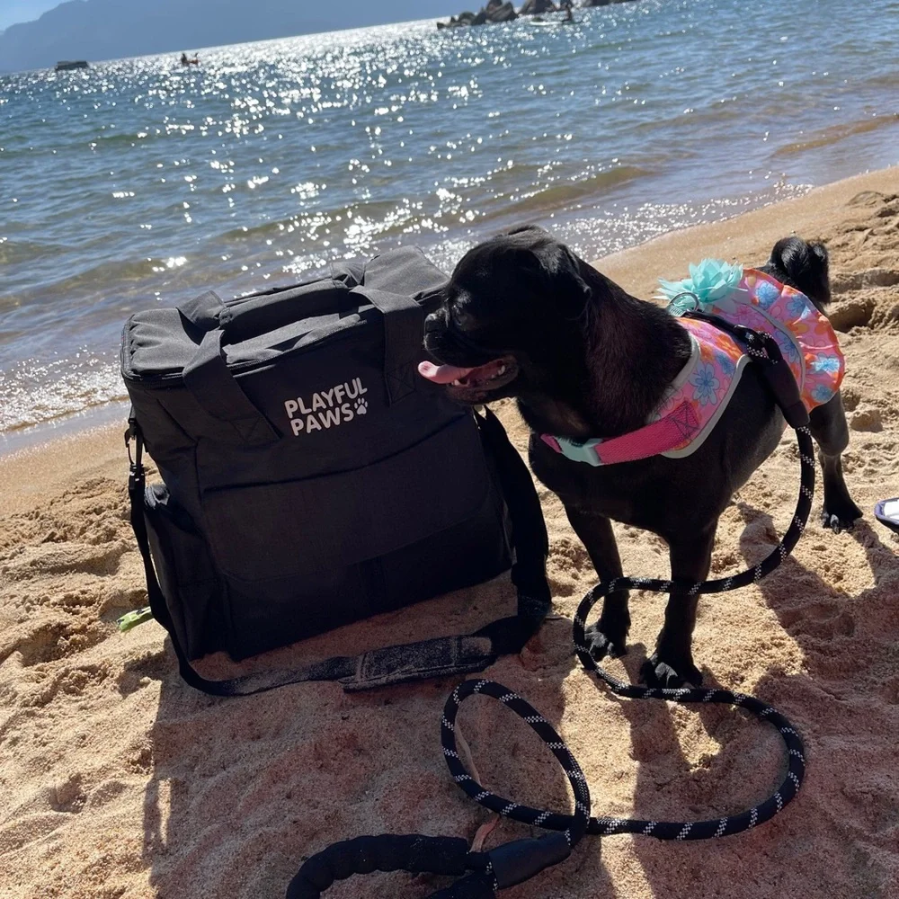 Playful Paws backpack use