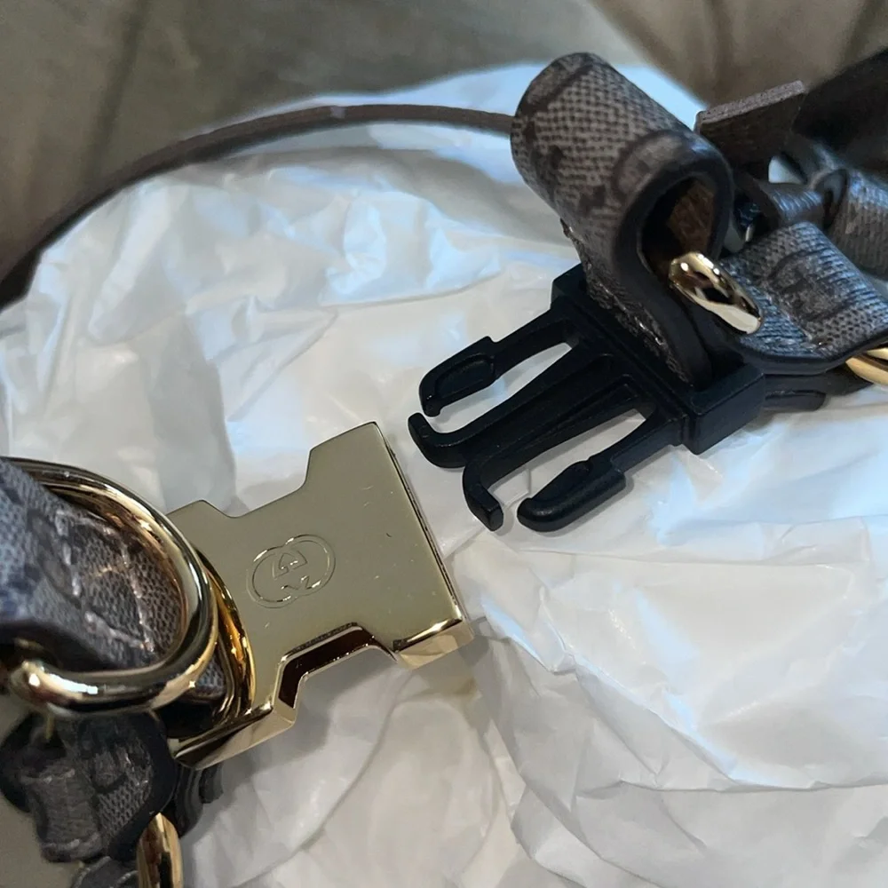 Gucci nwot ex