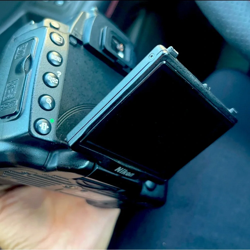 Nikon dx camera