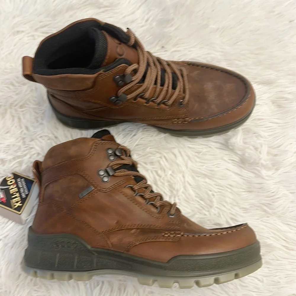 NEW ECCO Men’s Track 25 High Gore Tex Hiking Boot Bison brown leather size US 5
