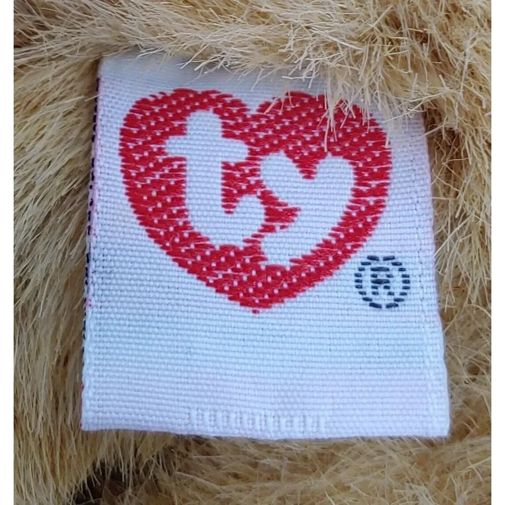 Ty beanie buddy