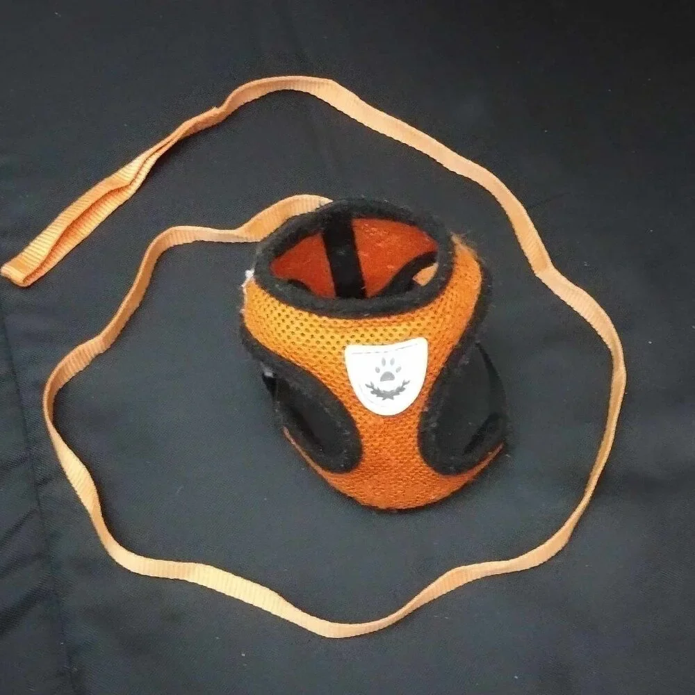 Size Small - Reflective Kitty Cat Harness and 45