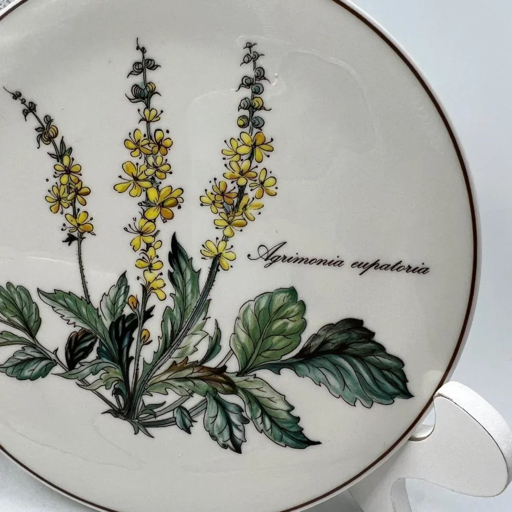 Villeroy & Boch villeroy boch