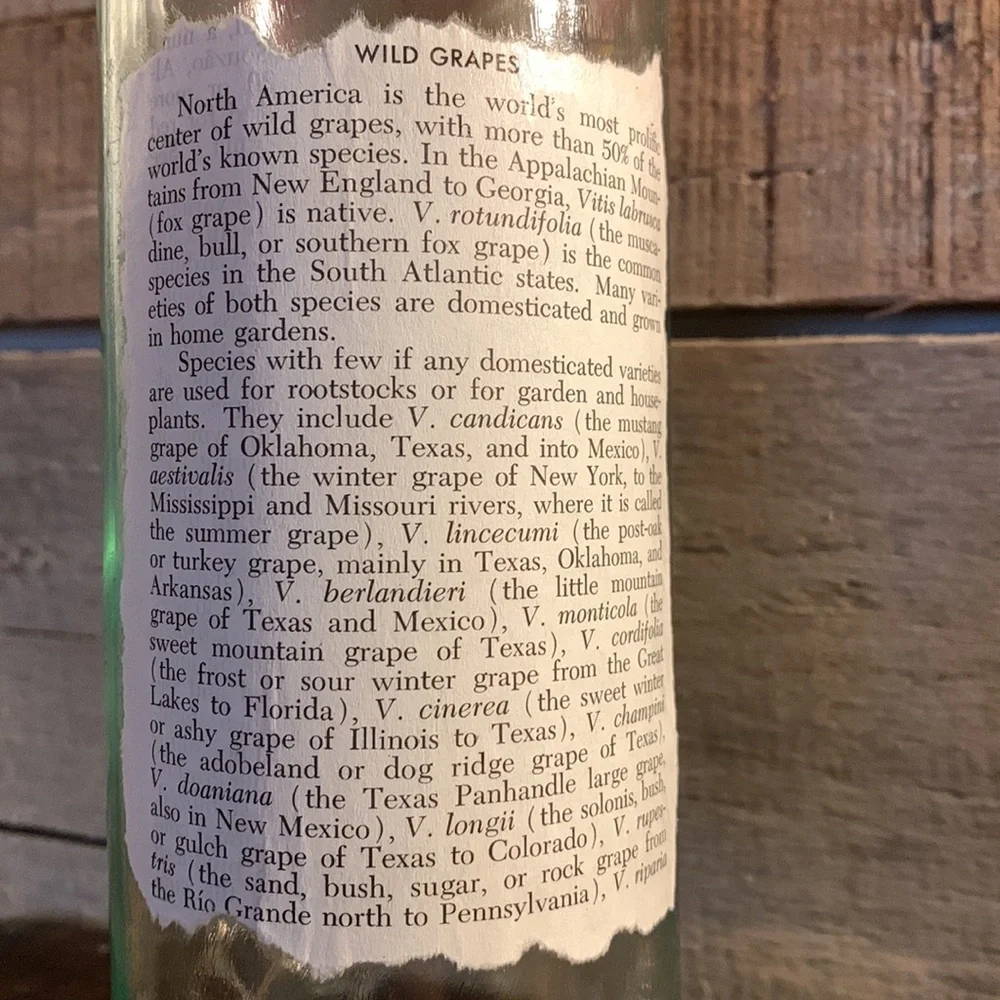 Hand Crafted, upcycled decoupage Wine Bottle lantern on wild grapes