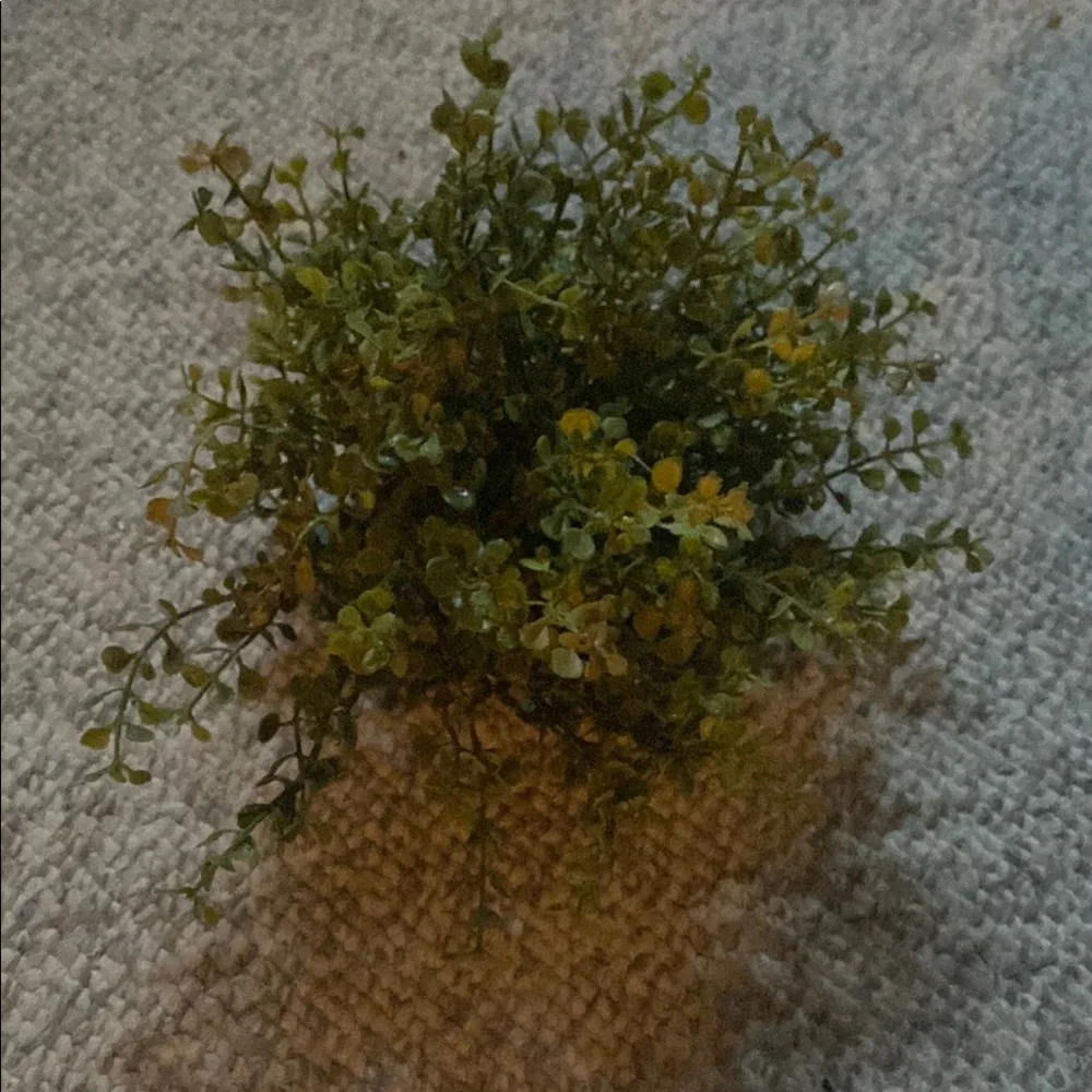Green Eucalyptus Faux Floral Accent with Natural Wild-Growing Appearance