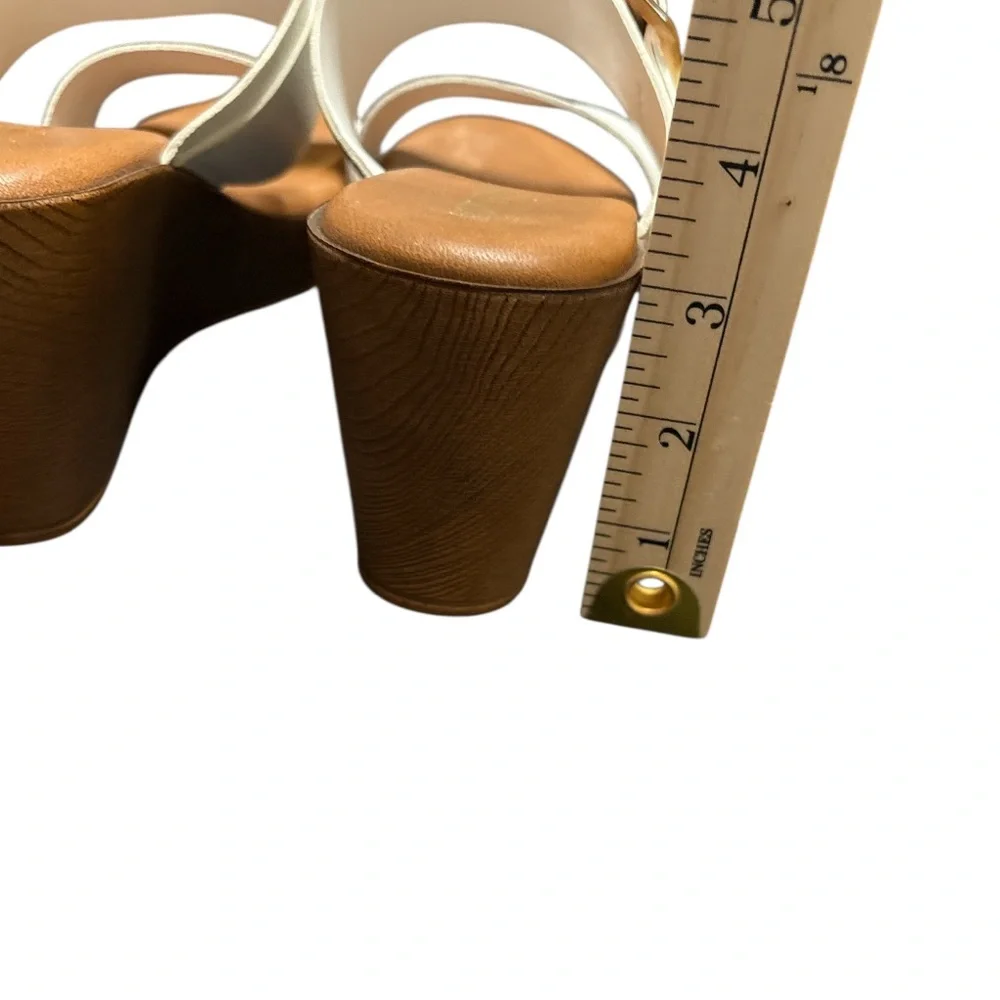 LOTTINI elevate your