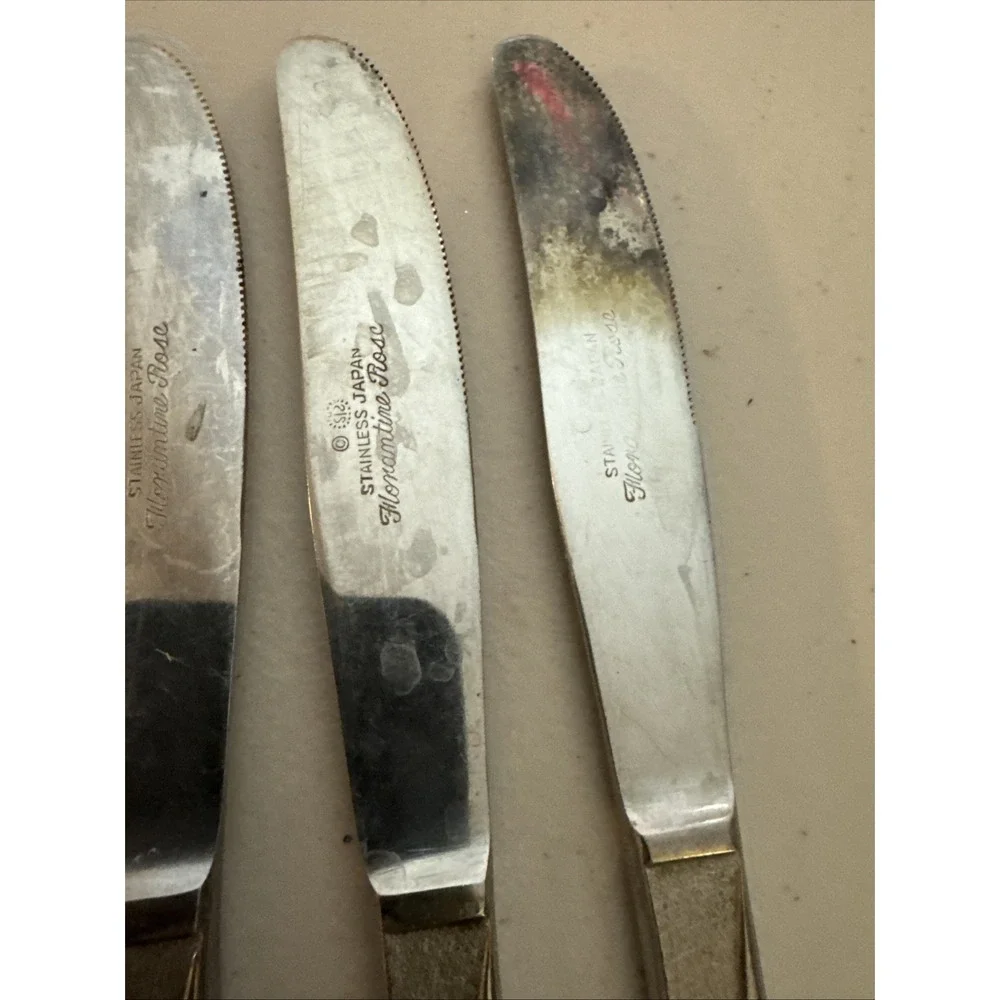Stanley Roberts Florentine Rose Stainless Steel 11 Butter Knives