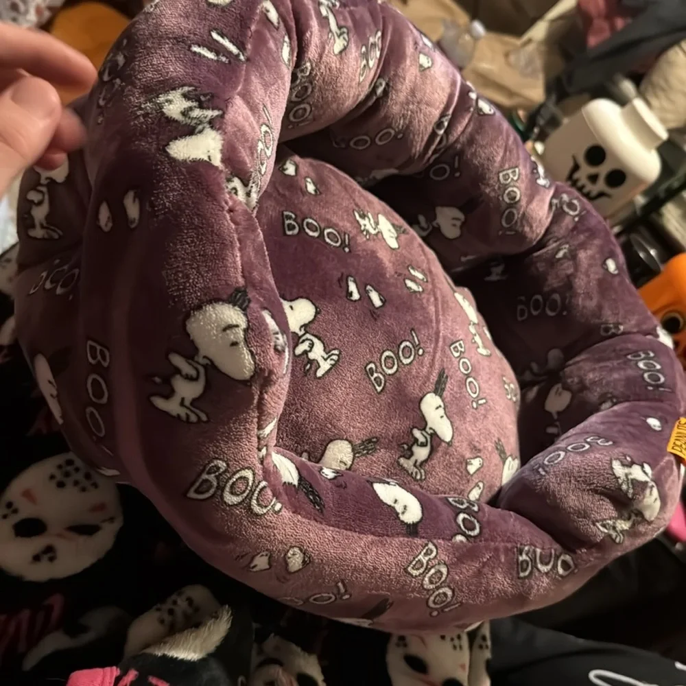 Peanuts snoopy halloween