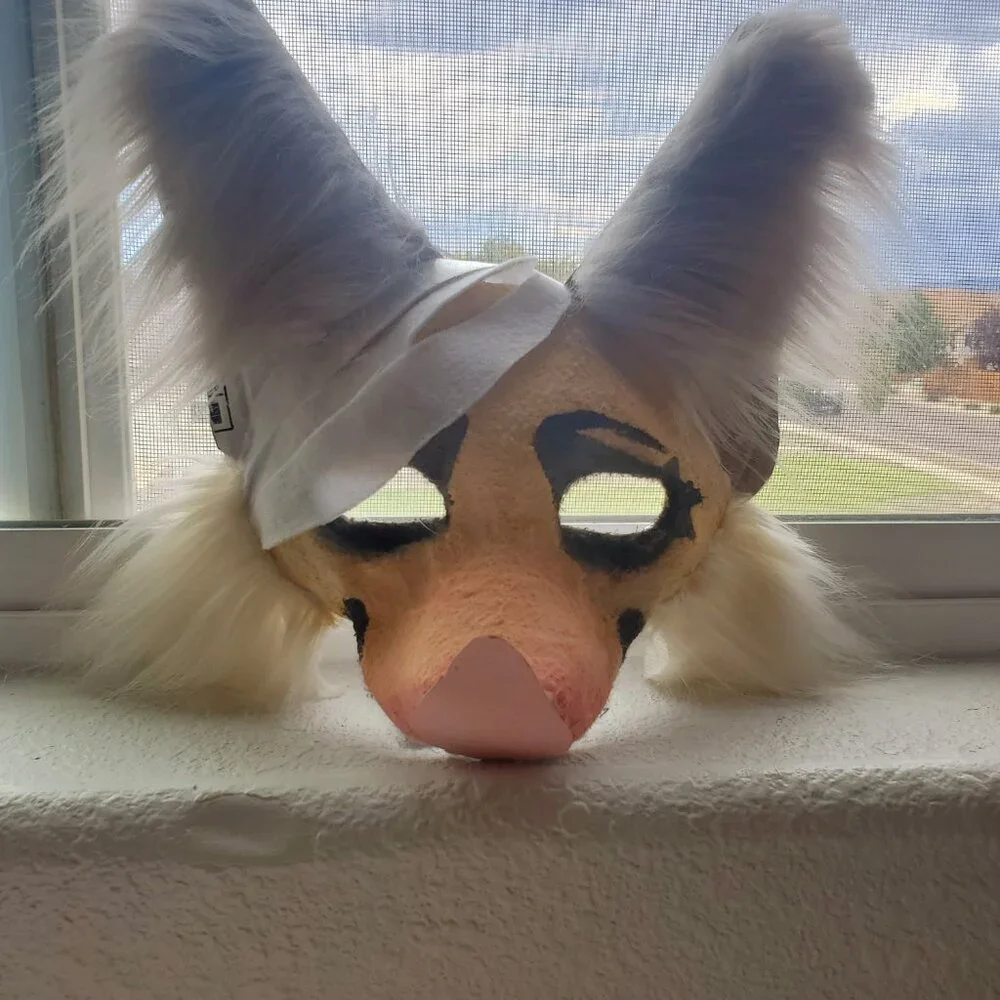Rae_Paws albino bat
