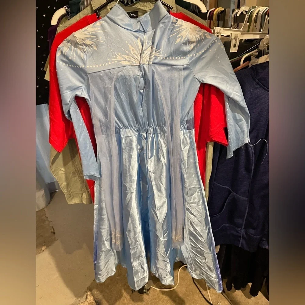 Frozen costume play