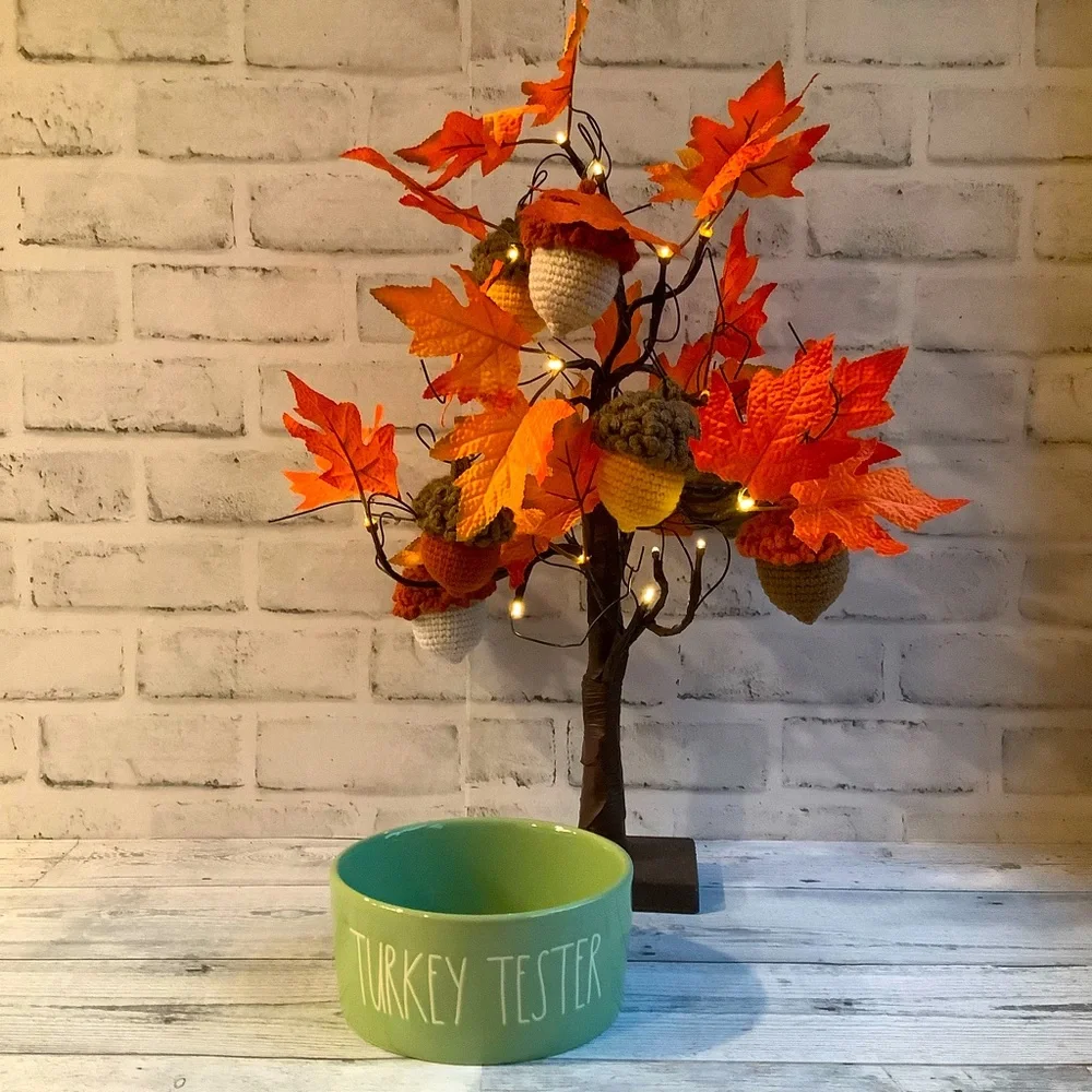 Rae Dunn Ceramic Turkey Tester Pet Bowl