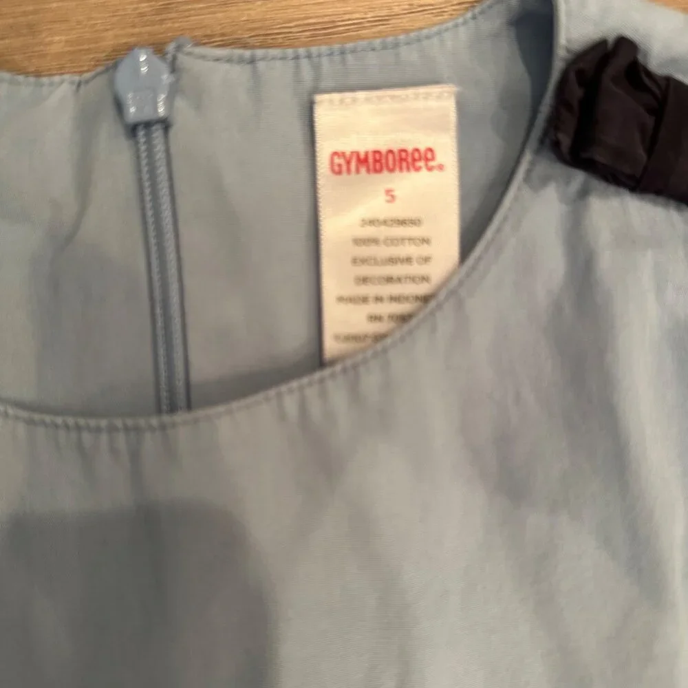 Gymboree dress your