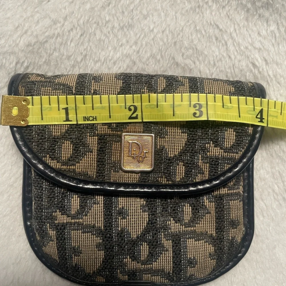 Dior cracks pouch does