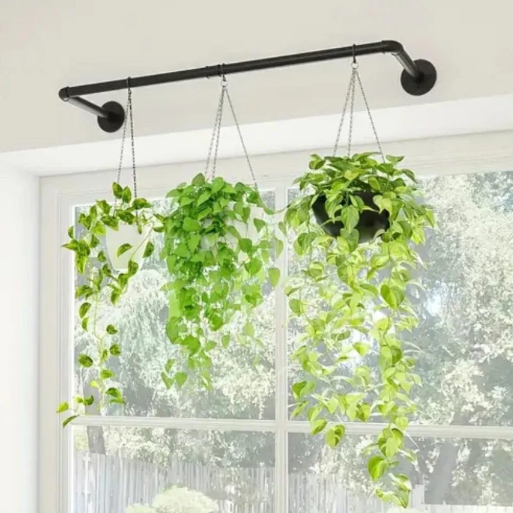 Modern Black Wall-Mounted Plant Hanger