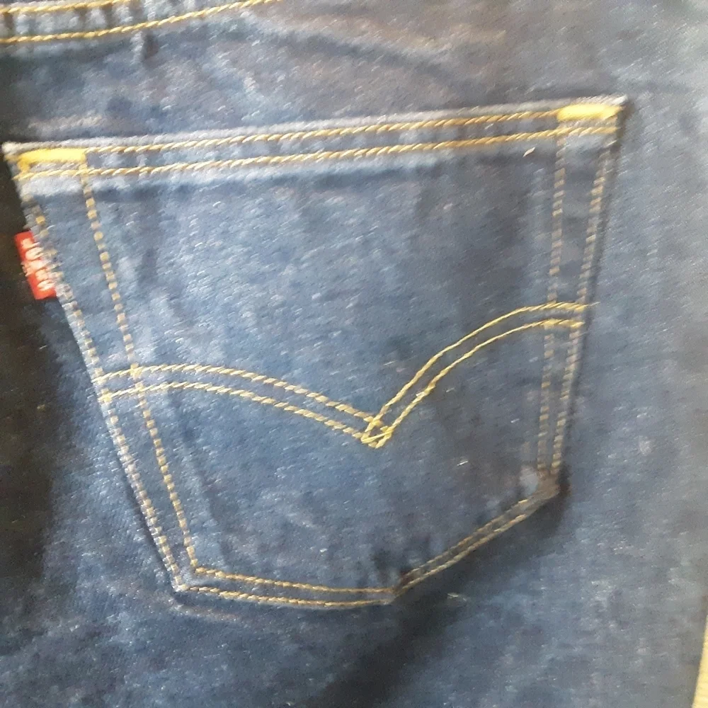 Levis levi strauss