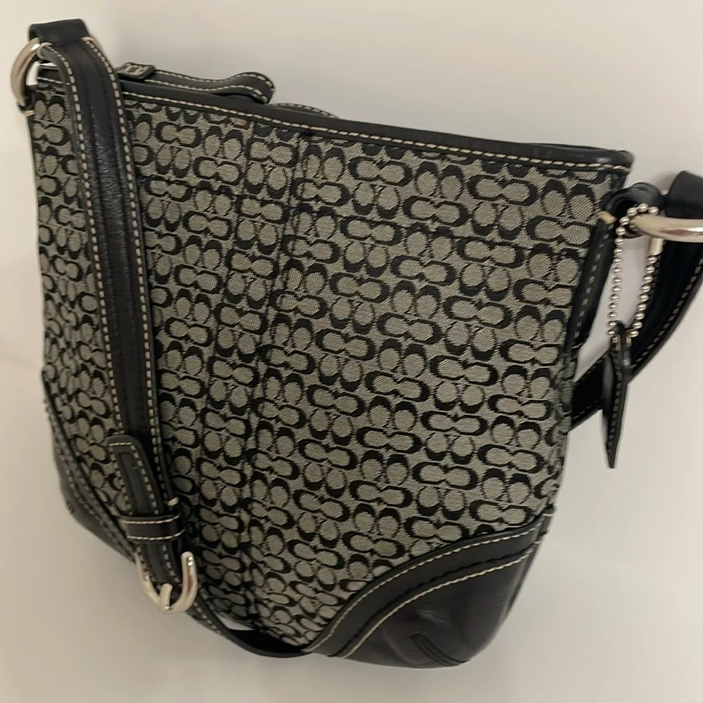Coach mini cs