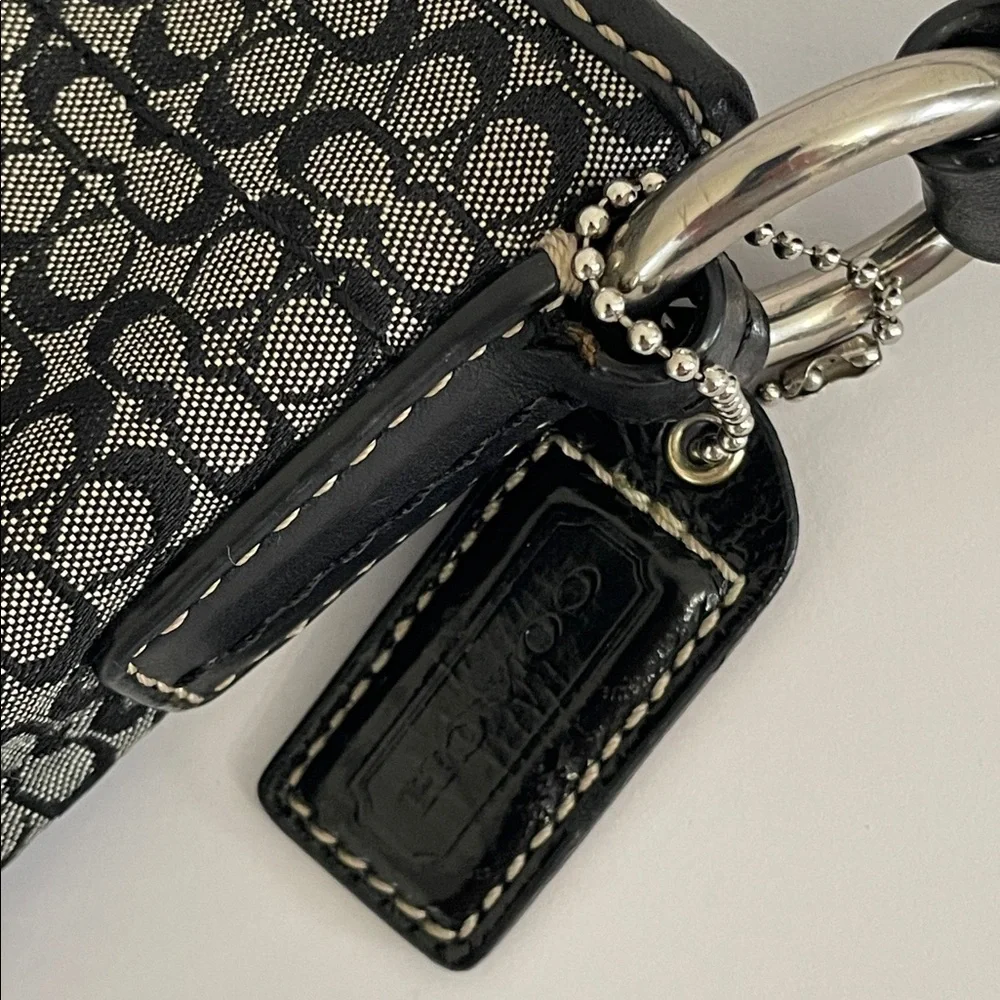 Coach mini cs