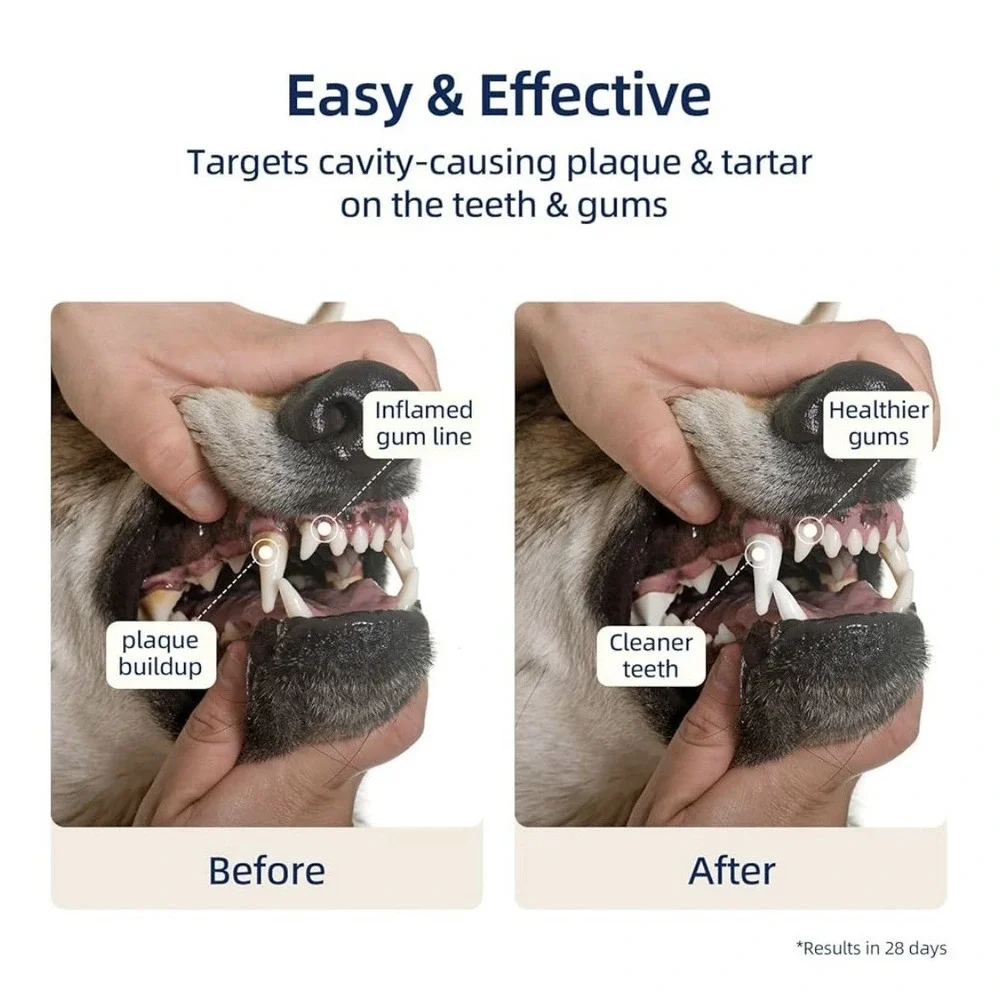 N/A dog dental