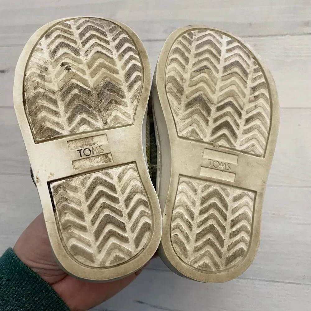 Toms toddler pet baby