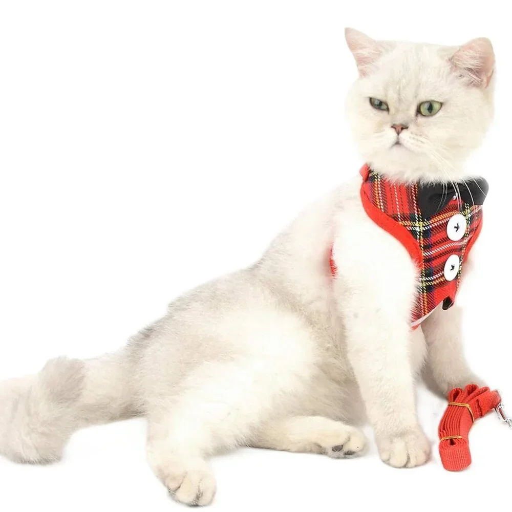 N/A dog harness