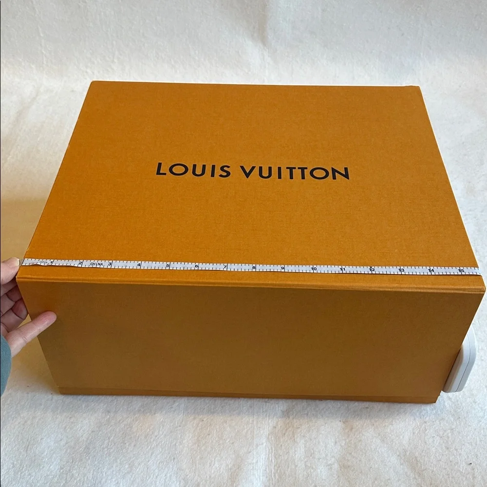 Louis Vuitton authentic louis