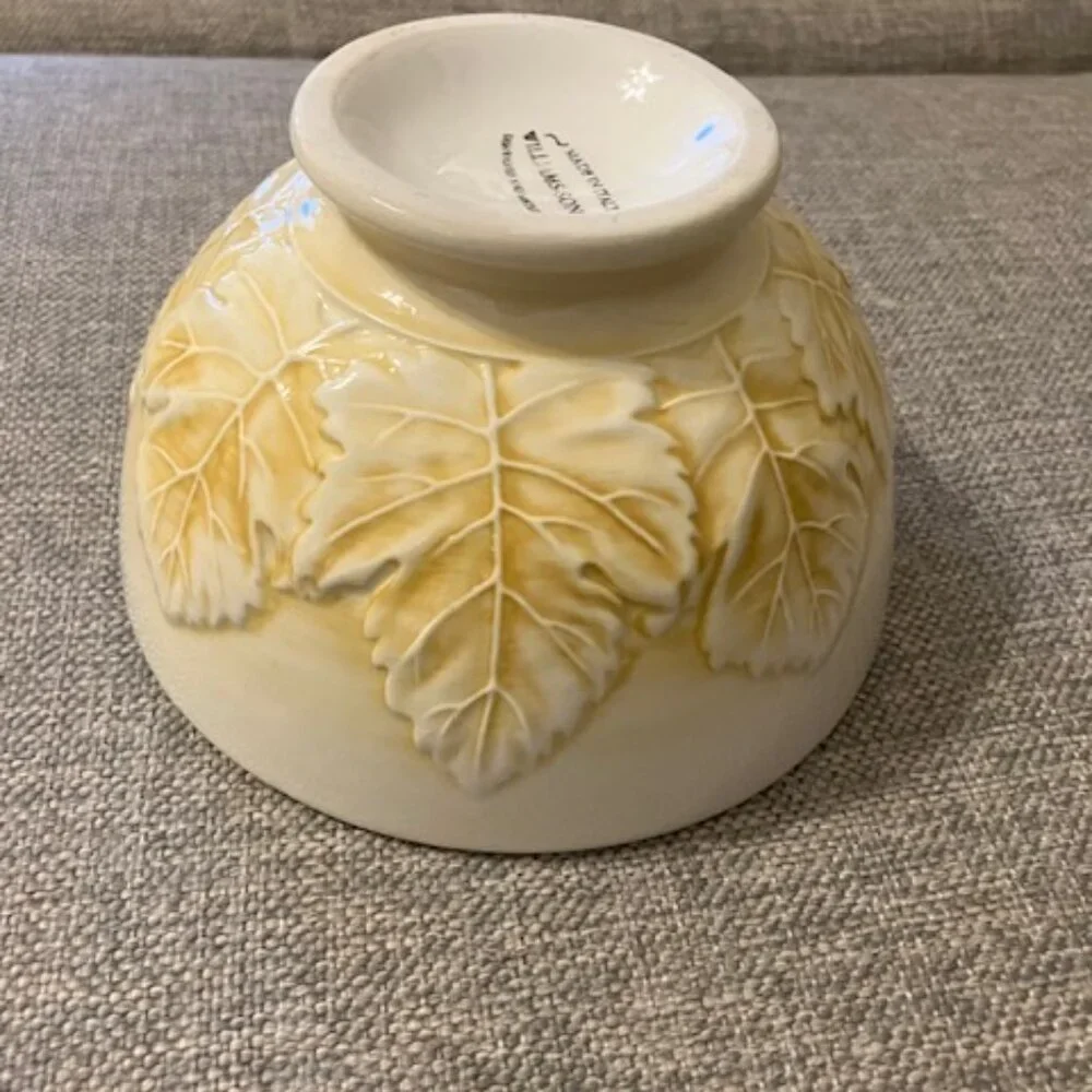 Williams Sonoma beautiful bowl