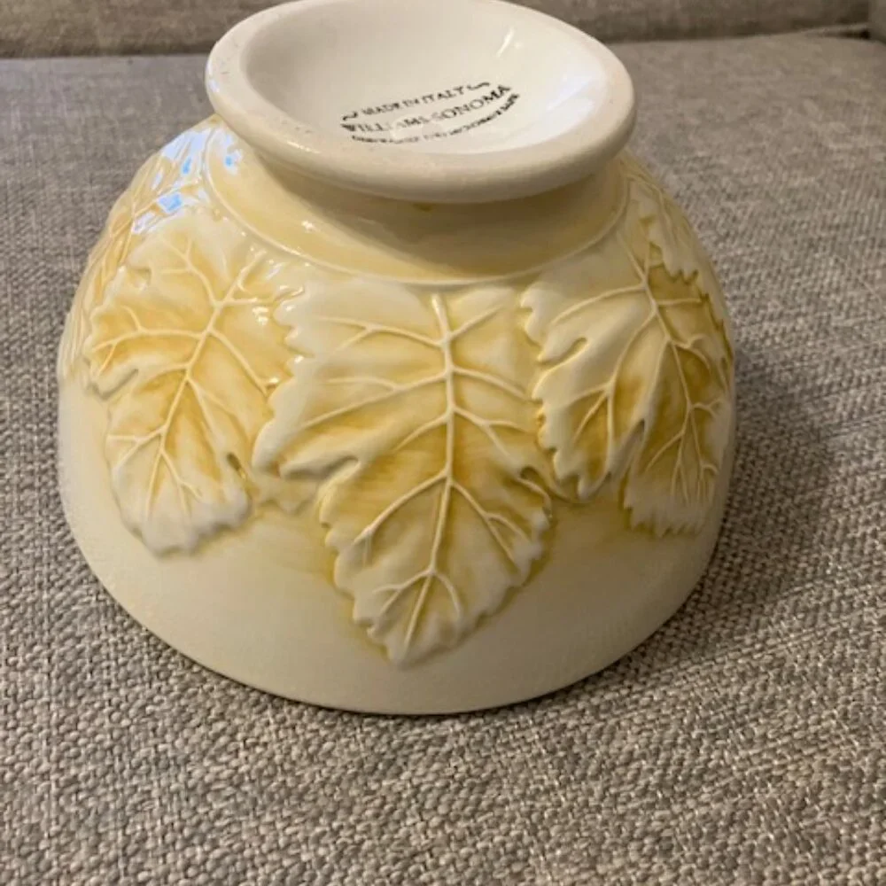 Williams Sonoma beautiful bowl