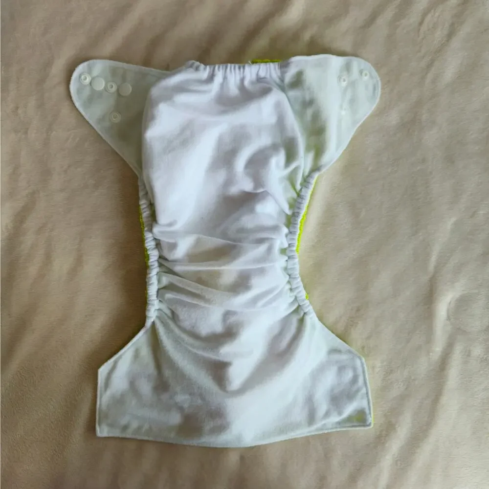 Little Bunny Bear start or