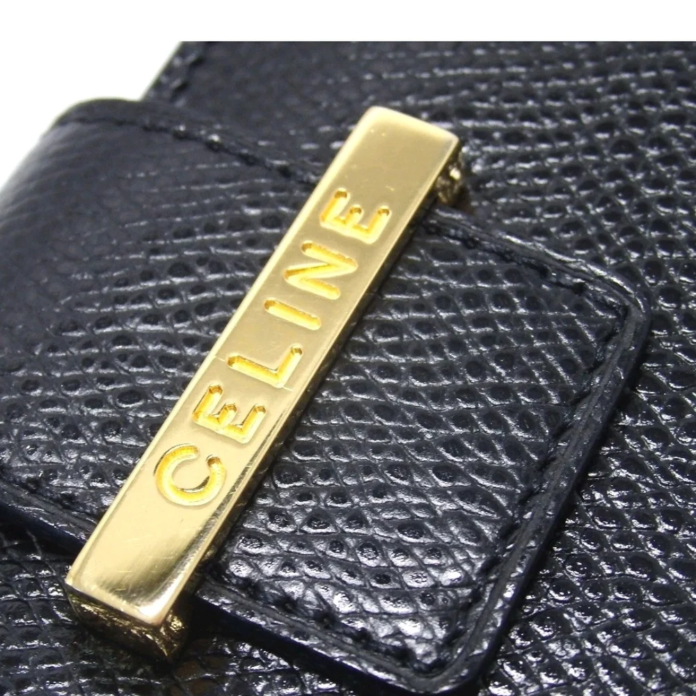 Celine elegant stylish