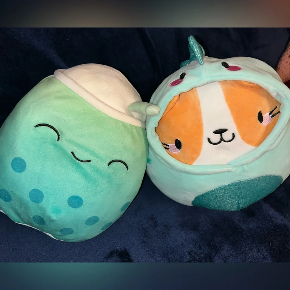 Squishmallows Aqua and Orange Pet Plush Duo