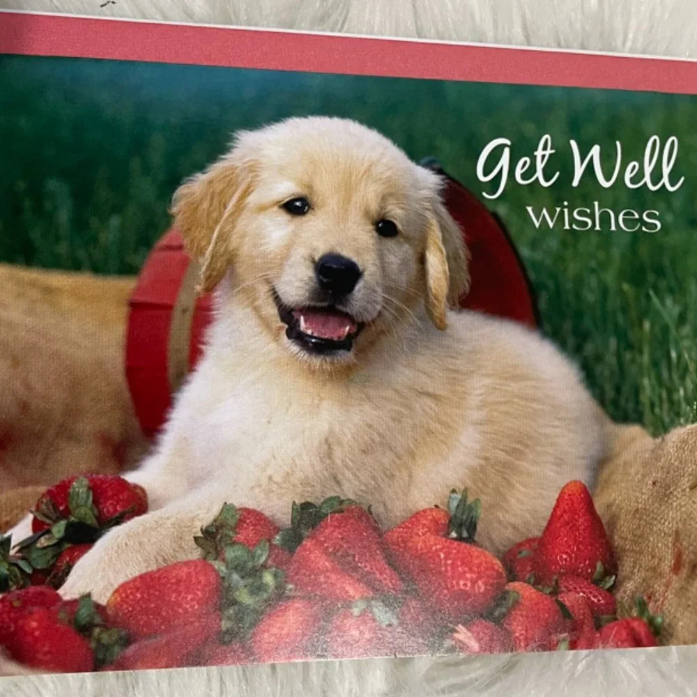 N/A assorted greeting
