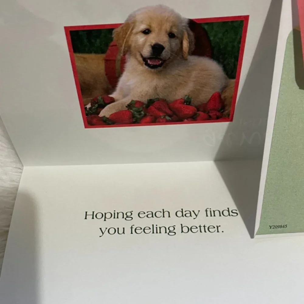 N/A assorted greeting