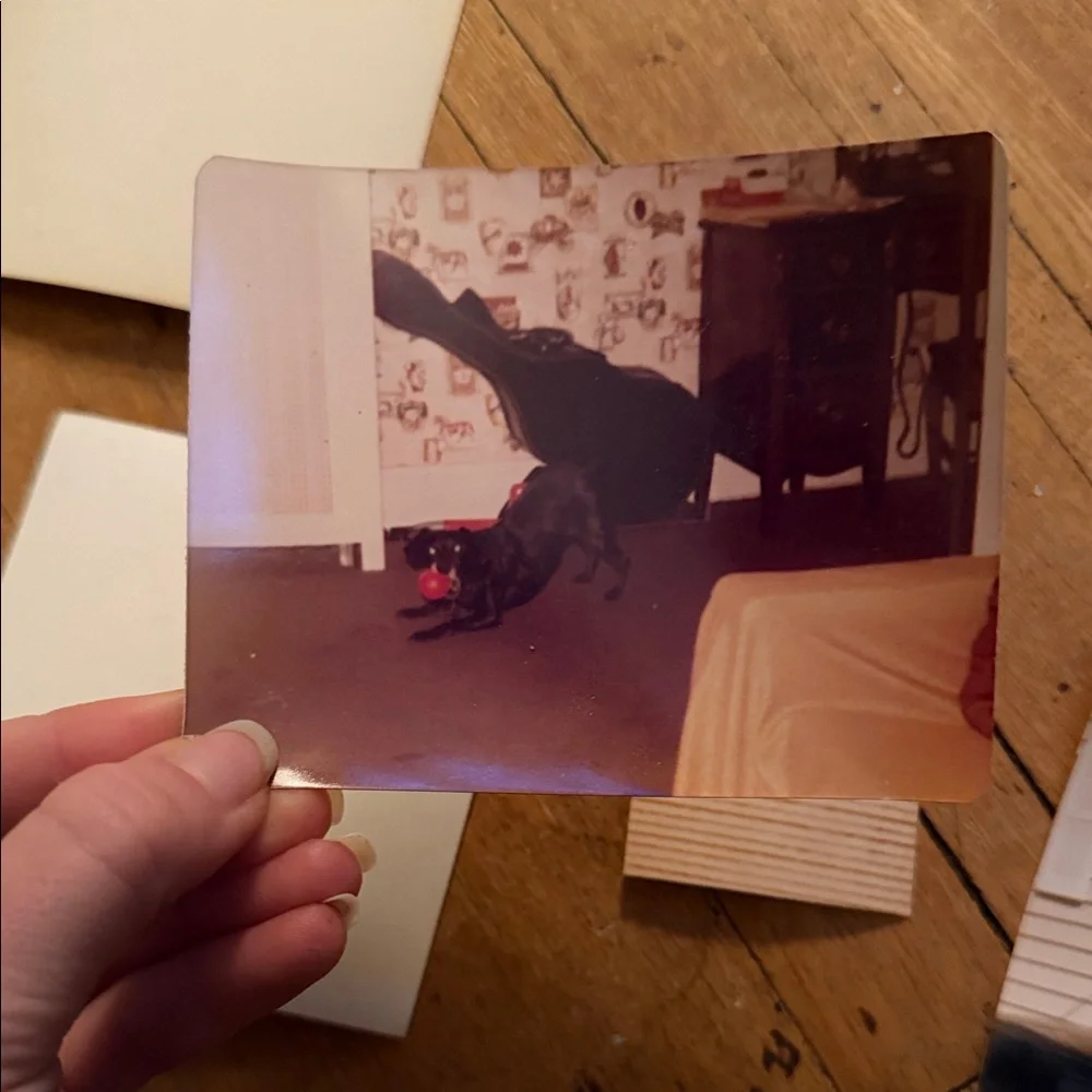 Vintage set photographs