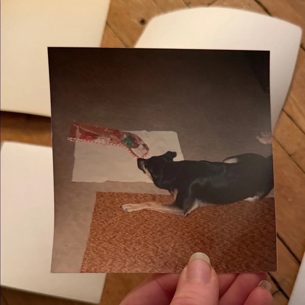 Vintage set photographs
