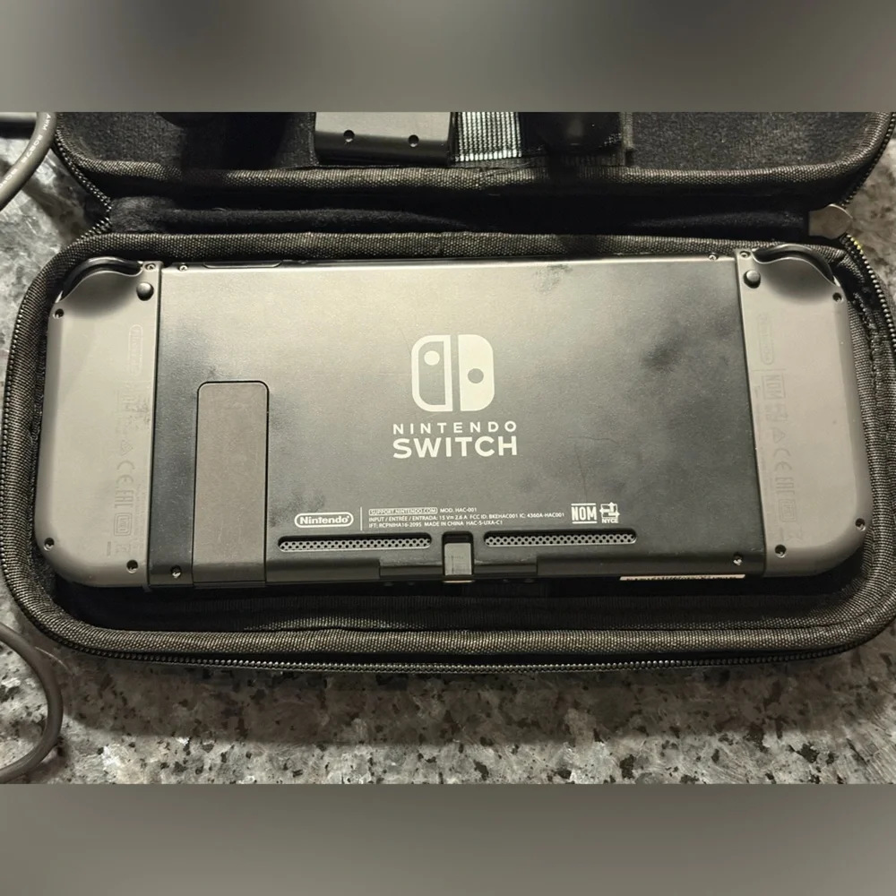 Nintendo portable switch