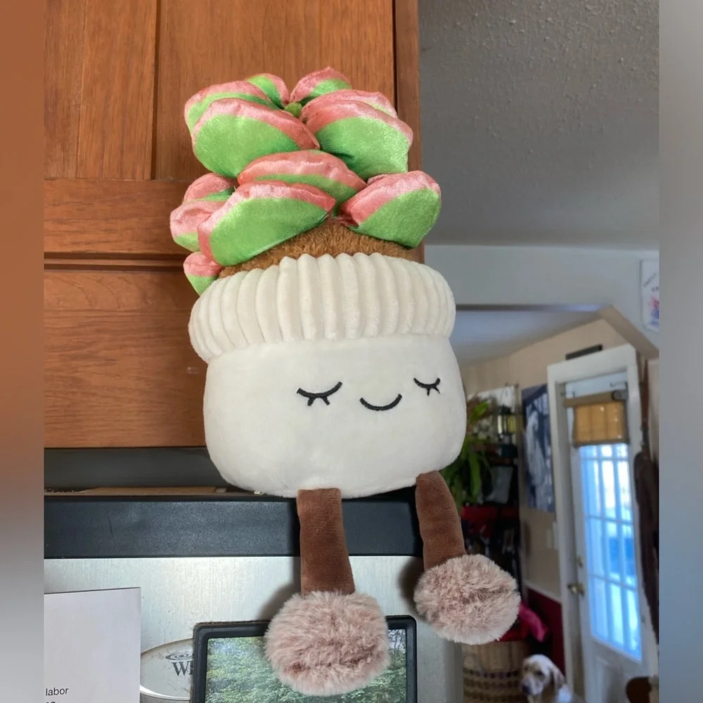 Sleepy Cozy Potted Succulent Plush CUTIE Decor PLANT LOVERS 🏜️🪷