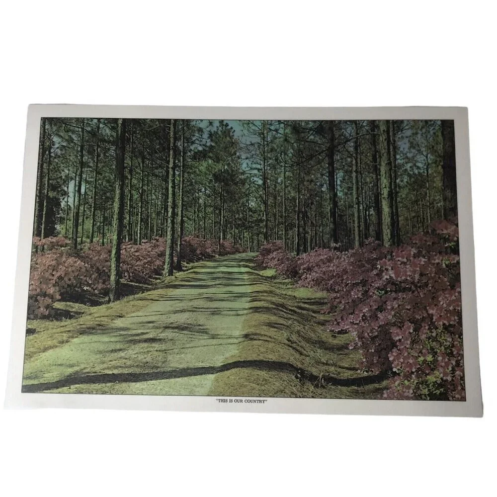 Set Of 6 Vintage “This Is Our Country” Placemats, Laminated & Washable
