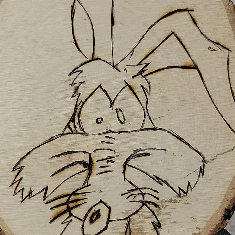Warner Bros. wile slice unique
